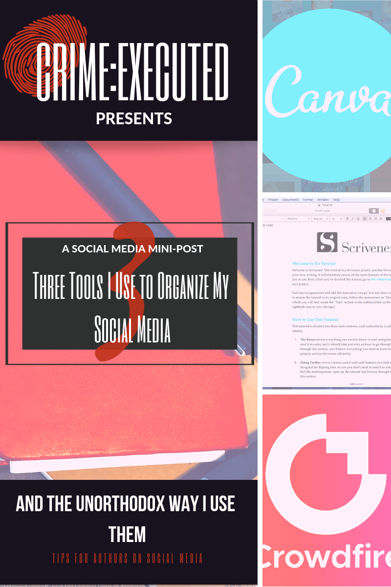 3 Tools I Use for Social Media (and How I Use&nbsp;Them)